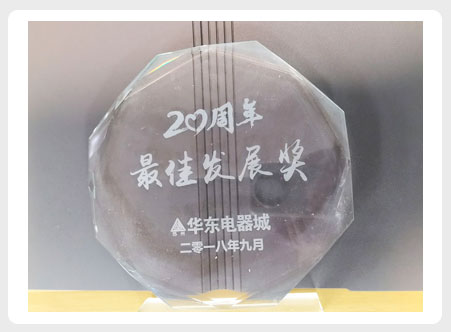 华东电器城20周年最佳发展奖